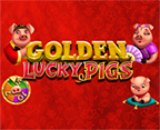 Golden Lucky Pigs